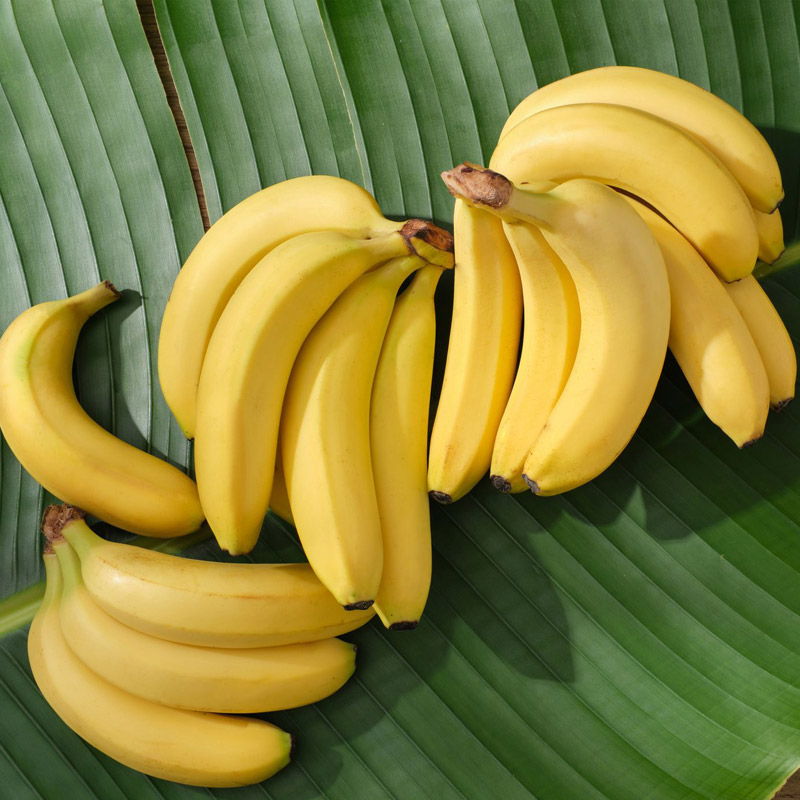 Fresh Bananas Exporters from India