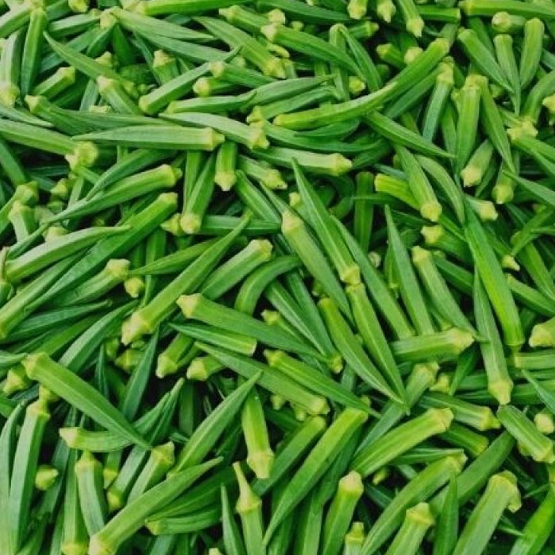 fresh okra exports from india