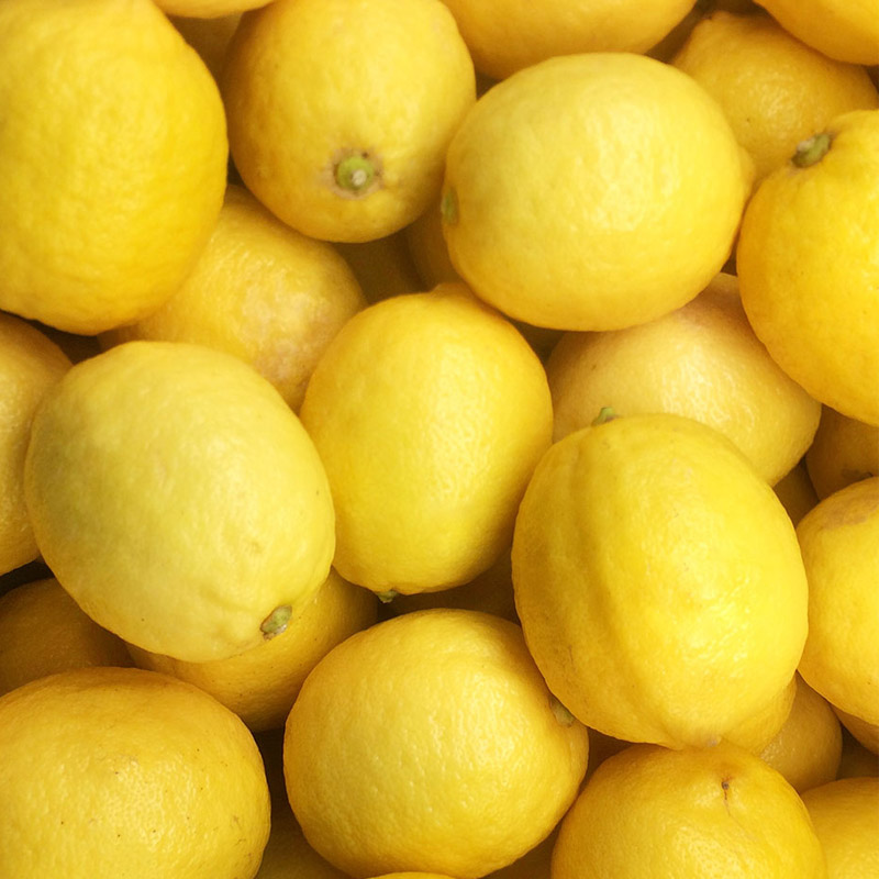 Lemon Exporters from India