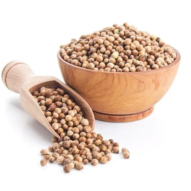 Coriander Seed Manufacturers & Suppliers in India
