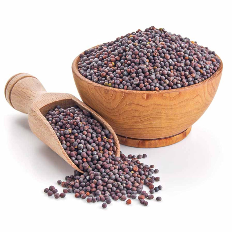 Mustard Seeds Manufacturers & Suppliers in India
